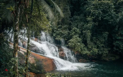 Waterfalls: Natural Retreats of the Atlantic Forest